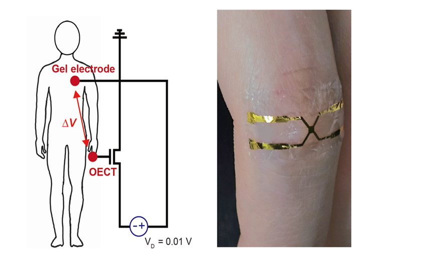박성준 교수팀, 낮은 전력으로도 정확·안정적으로 구동가능한 정밀전자피부(e-skin) 개발